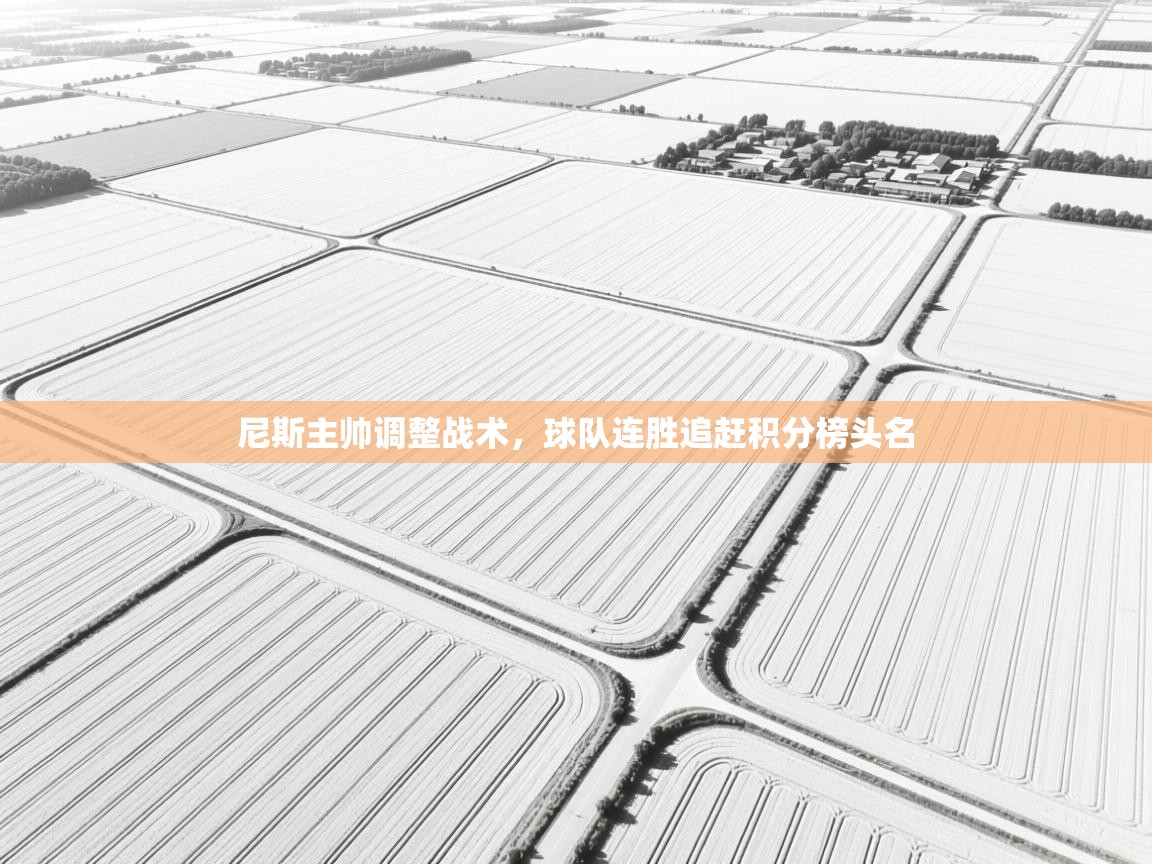 尼斯主帅调整战术,球队连胜追赶积分榜头名 第1张