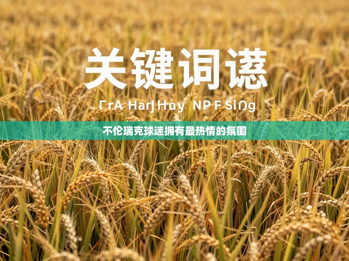 不伦瑞克球迷拥有最热情的氛围  第2张